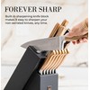 Black and Gold Knife Set for Kitchen with Block –
