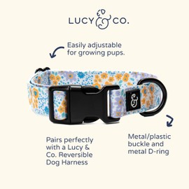 Lucy & Co. Cheery Cherries Dog Collar - Durable Lightweight Designer Collar for Pets - Adjustable Metal Safety Buckel - Red Gingham Cherries – Small
