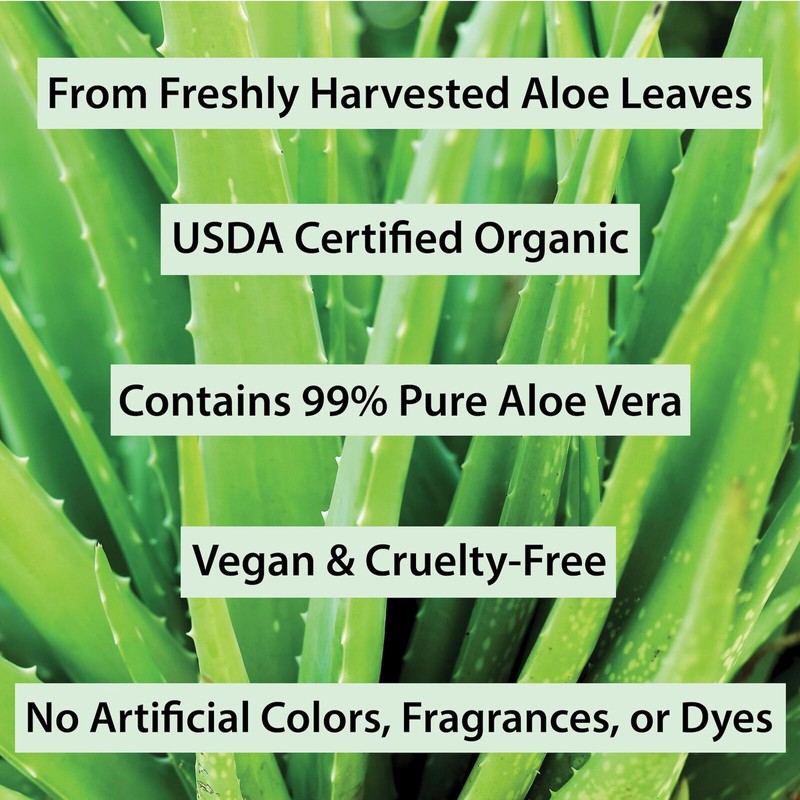 Amara Beauty Aloe Vera Gel from Organic Cold Pressed Aloe,