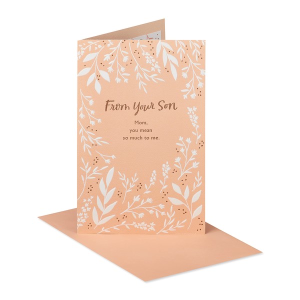 American Greetings Mother's Day Card from Son (You Mean So Much to Me)
