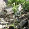 Sitting Fairy Statue Sculpture Figurine Resin Garden Ornament Craft Landscaping