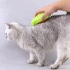 Cepillo De Vapor 3 En 1 Para Gato Masaje Elimina