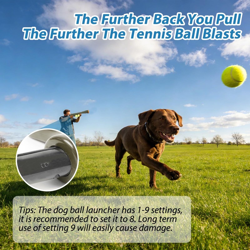 RSSLygaeonix Tennis Ball Launcher for Dogs, Launches 30+ ft, Green