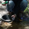 Sluice Fox Magnetic Pickup Tool; Black Sand Gold Separator; Hand