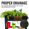 LEETOLLA Elevate 32" Tall Raised Garden Bed Outdoor with Wheels