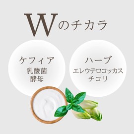 Keffran Kefiamine (1 month worth of 60 packs) (Supplement/Kefir/Eleutherococcus/Siberian Ginseng/Araceae/Chicory/Lactic Acid Bacteria/Yeast/Granule Type/Potato/Japanese Kefir)