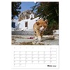 Griechisches Allerlei (Wandkalender 2026 DIN A2 hoch), CALVENDO Monatskalender: Reiseimpressionen