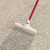 IUY Ventures's Carpet Rake and Groomer with 51" Handle Cleaning