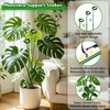 SupKing Telescoping Plant Stakes 37 inch,Adjustable Green Monstera Support Stake