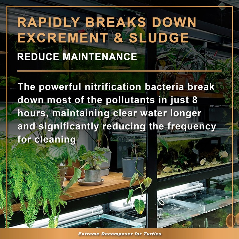 AZOOPLUS BIO XD Extreme Decomposer Nitrifying Bacteria for Turtle Tank