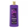 Caress Moisturizing Body Wash Black Orchid & Patchouli Oil 18