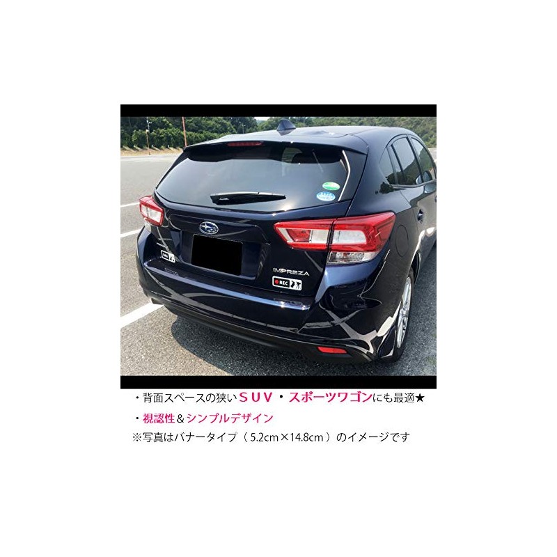 Dash Cam Sticker Bunny & Video Camera Banner Type (For