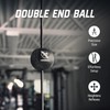 Hayabusa Hayabusa Double End Bag Ball - Black