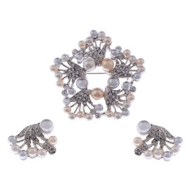Alilang Women's Classy Multi Color Faux Pearl Clear Rhinestone Crystal Brooch Pin Floral Earring Stud Set