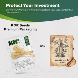 500+ Parsnip Seeds for Planting - Harris Model - Heirloom, Non-GMO, USA Grown - Slender Roots, Sweet Flavor, Frost-Tolerant - by RDR Seeds