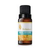 Herbolare - Aceite esencial de Menta Arvensis10 ml. Deliciosa frescura y 100% puro.