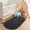 OLANLY Fluffy Soft Area Rugs for Bedroom, 2.6x5.3 Feet Machine