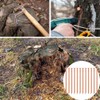 20 Pcs Copper Nails for Killing Trees, Stumps & -