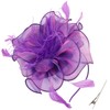 DRESHOW Fascinators Hat Tea Party Headwear Ribbons Feathers on a