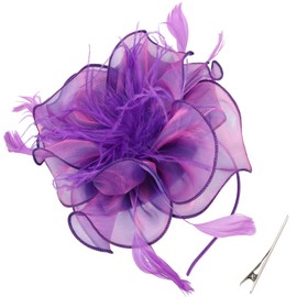 DRESHOW Fascinators Hat Tea Party Headwear Ribbons Feathers on a Headband and a Clip for Girls and Women