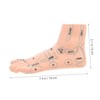 ORFOFE 19CM Foot Massage Acupoint Model Reflexology Teaching Tool Foot