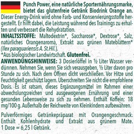 Punch POWER French brand sports biodrink flavour orange 500g