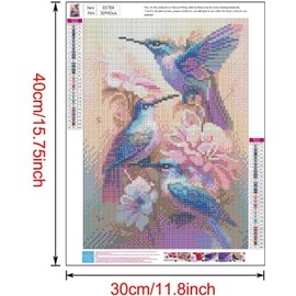 Diamond Painting Kits for Adults,5D DIY Hummingbird Diamond Art Kits Round Full Drill Gem Art and Crafts for Home Wall Decor Gift 12 X16 Inch