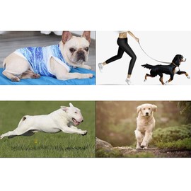 Pet Vest Simple Practical Small Cooling Vest Dog Cooling For Pet Dog Animal (Size M, Sky- Blue) Dog Supplies