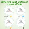 6 Sheets Anti-Collision Window Stickers, Window Stickers with Rainbow Reflection