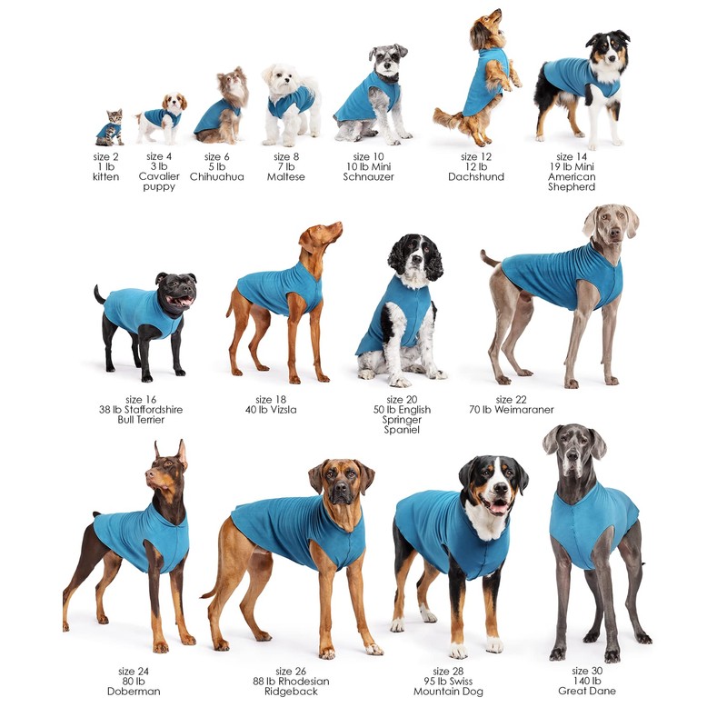 Gold Paw Duluth Double Fleece Dog Coat Pullover – Soft,