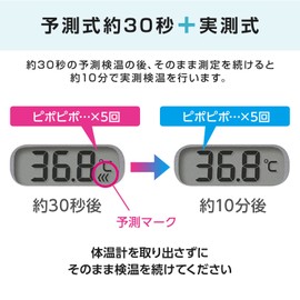 シチズン 電子体温計 CTE507-E 予測30秒+実測式 抗菌・防水 2波長音ブザー