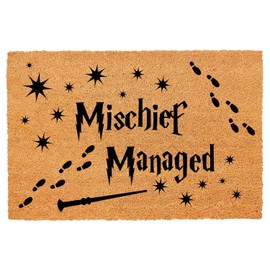 Funny Coir Doormat Magical Fantasy Front Door Mat Entryway Indoor and Outdoor Mat with Heavy Duty Front Porch Decor Welcome Mats for Entrance Way Decor Natural Coconut Thick Brown Mat 23.7x15.7 inch