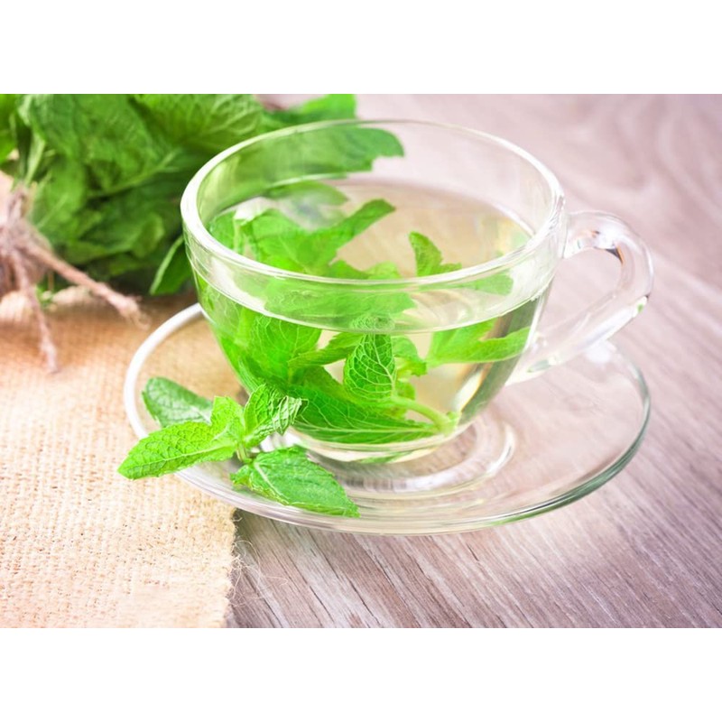 300+ Mint Seeds for Planting Mentha Non-GMO Herb Variety for