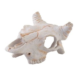 Exo Terra Buffalo Skull, Small