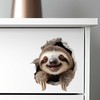 Sloth Hole Decal – 3D Jungle Animal Sticker – Removable