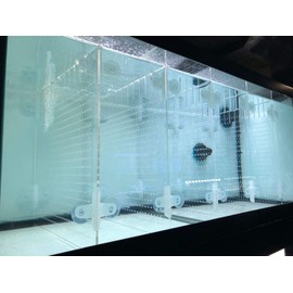 Acrylic Aquarium Divider Kit 5.5/10 / 20L / 20H / 29 / 40B / 55/75 / 125gal Fish Tank with Suction Cups