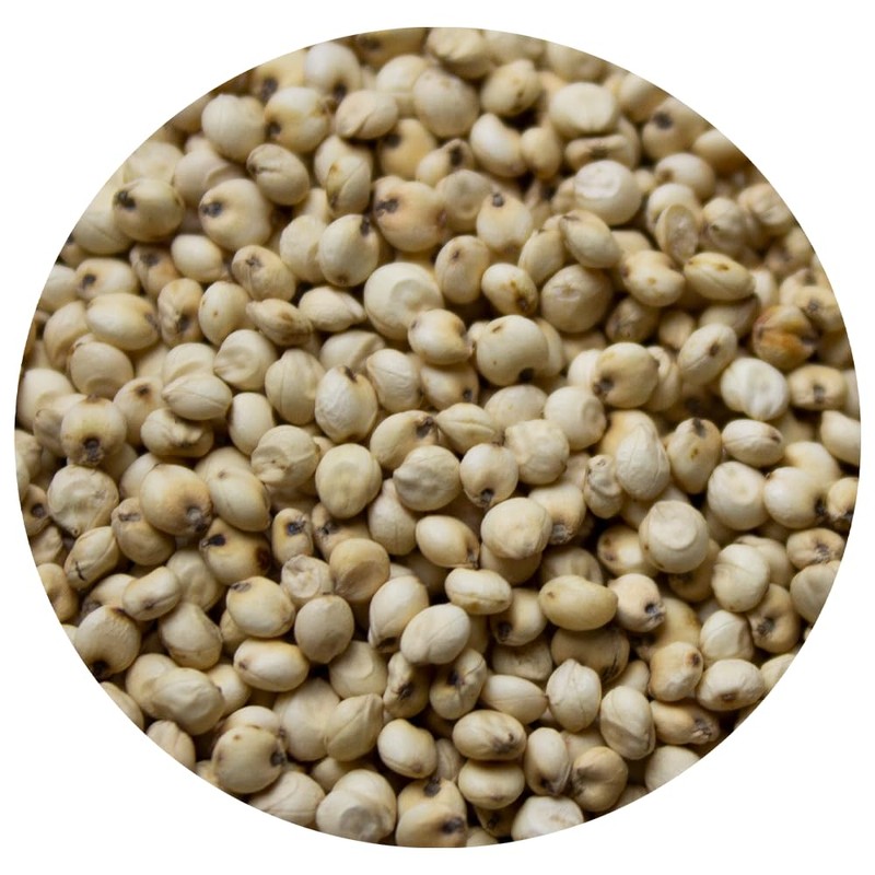 PureLiving Sprouted Organic Sorghum Grain Dried Non-GMO - 24 Ounce