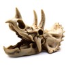 Resin Dinosaur Skeleton Triceratops Imitation Skull Model Home Office Display