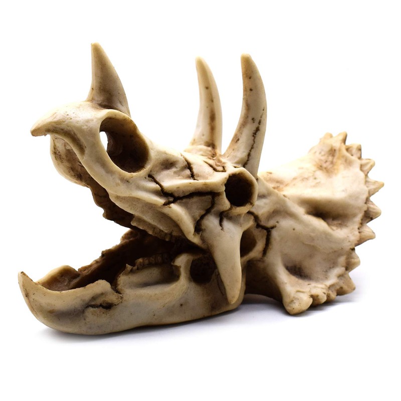 Resin Dinosaur Skeleton Triceratops Imitation Skull Model Home Office Display