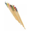 Bruvic 60 Cotonetes Figura Reutilizable Madera Palita 13 Cm Hisopos
