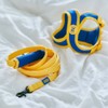 PETHROOM [PESSROOM] Comfort Set 2.0 (X-Harness + Leash Set) (M)