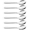 Esdiplot 8-Piece Large Stainless Steel Buffet Banquet Serving Spoons Set