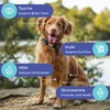 Dog Electrolytes and Joint Supplement | Glucosamine, Chondroitin & MSM