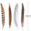 12pcs Natural Pheasant Feathers 4 Style 20-25cm Natural Feathers for