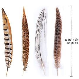 12pcs Natural Pheasant Feathers 4 Style 20-25cm Natural Feathers for DIY Craft Wedding Home Party Decorations Feathers FF08…