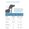 RC Pets Collar de Entrenamiento Martingale de 3/4 Pulgadas, pequeño,