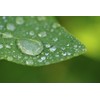 10x High Definition 2 Element Close-Up (Macro) Lens (58mm) Compatible