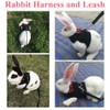 ASOCEA Adjustable Bunny Harness and Leash Breathable Mesh Vest Harness