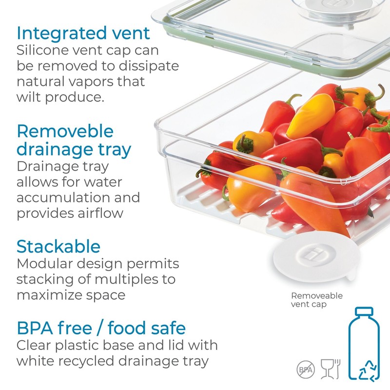 iDesign Large Fridge Produce Bin with Removable Drainage Tray and