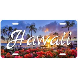 Hawaii Sunset Novelty Car Auto License Plate